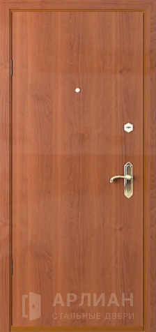 Фото №2 «Дверь входная металлическая с порошком снаружи и ламинатом внутри №1»