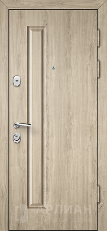 Фото «Зимняя металлическая дверь утепленная в коттедж №21»